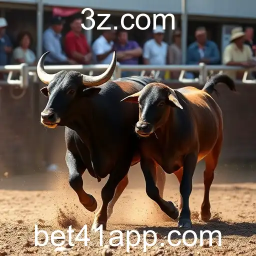 Rinha de Galos: Tradição, Controvérsia e Apostas